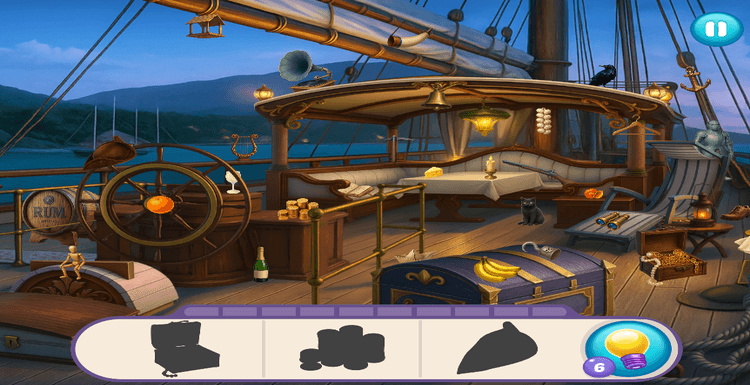 Image Hidden Object: Emily's Case